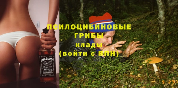 гидра Мегион