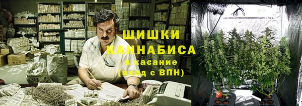 гидра Мегион