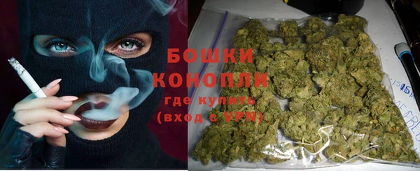 гидра Мегион