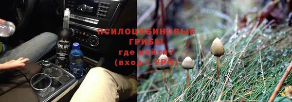 гидра Мегион